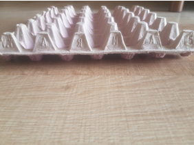 eggTray15.5-img1
