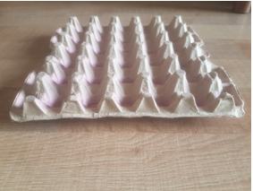 eggTray15.5-img2