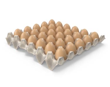 Food Image